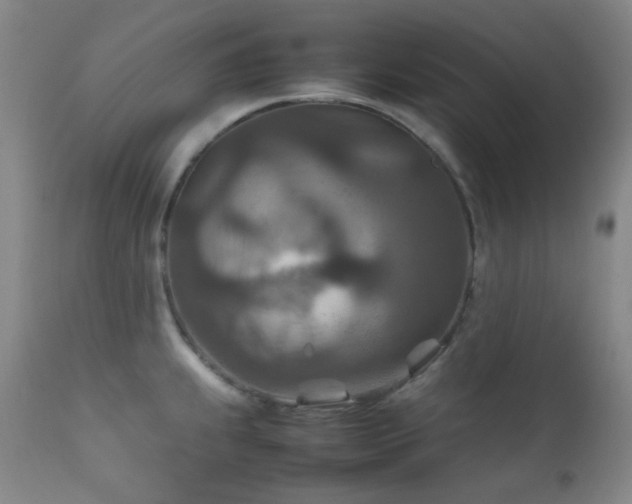 X0000111901239200907271150