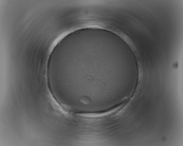 X0000111901240200907271150