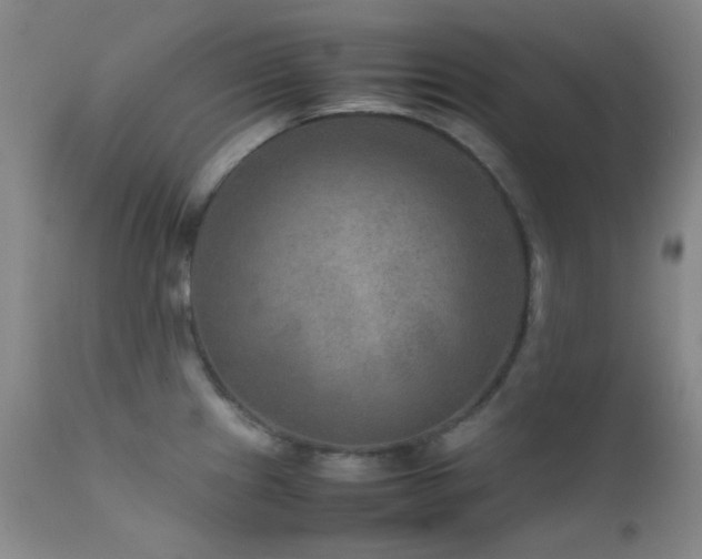 X0000111901241200907271150