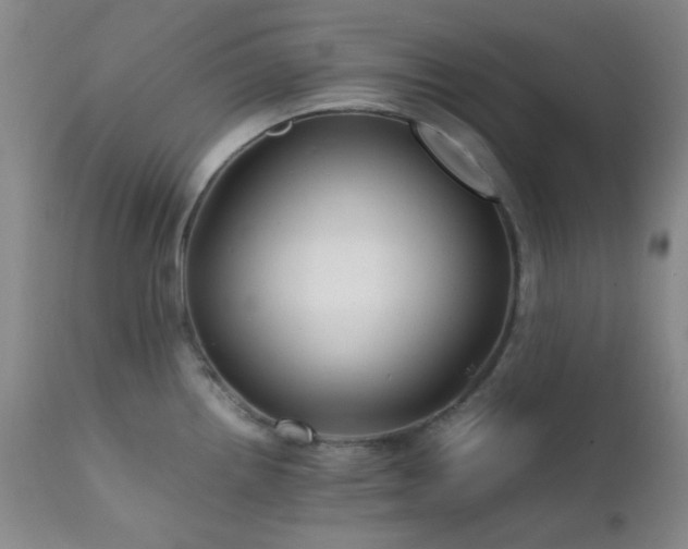 X0000111901242200907271150