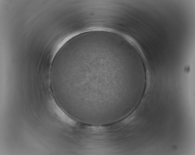 X0000111901244200907271150