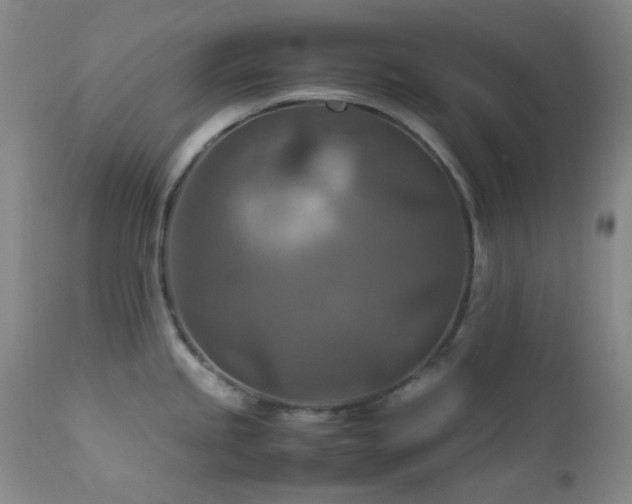 X0000111901245200907271150