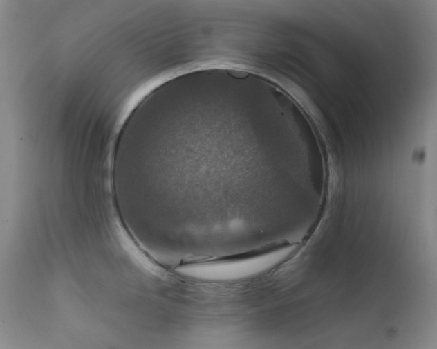 X0000111901246200907271150