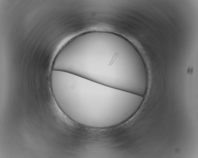 X0000111901248200907271150