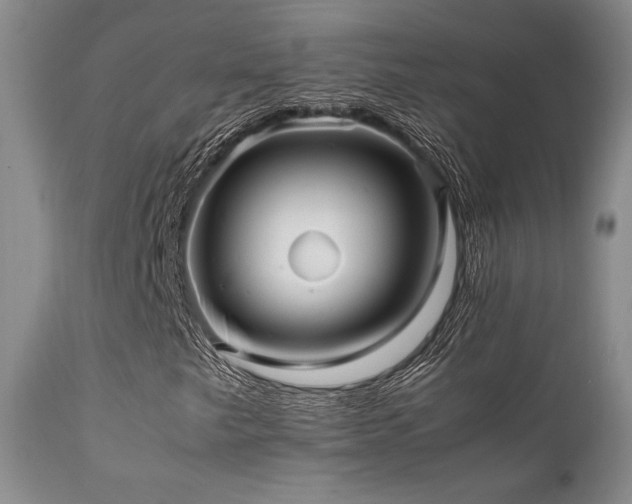 X0000111901249200907271149