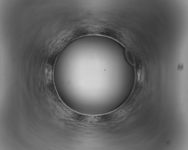 X0000111901251200907271149