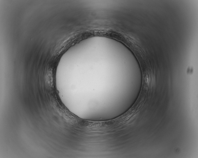 X0000111901252200907271149