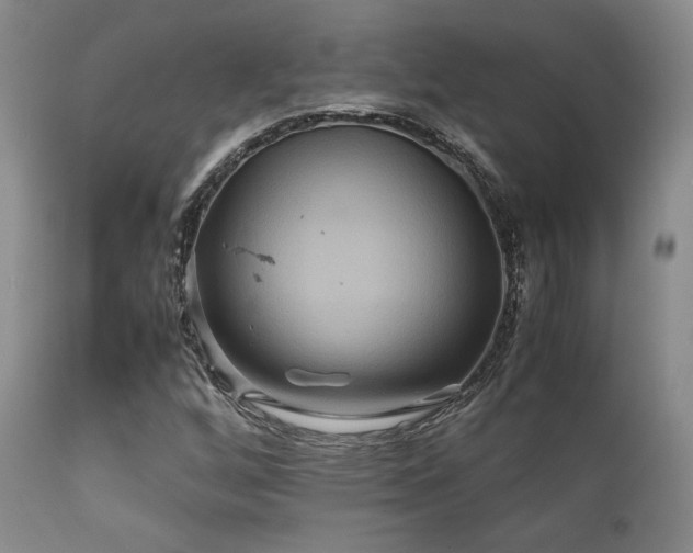 X0000111901256200907271149