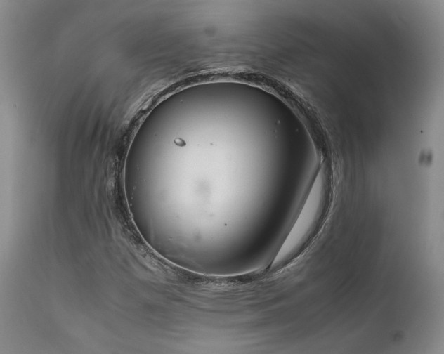 X0000111901257200907271149