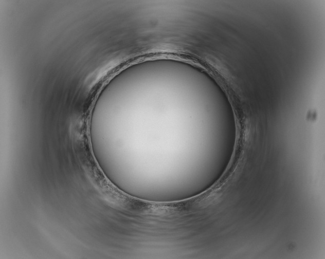 X0000111901258200907271149