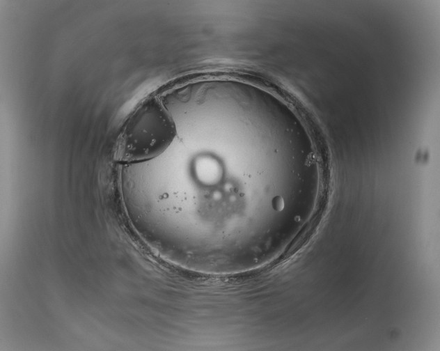 X0000111901259200907271149