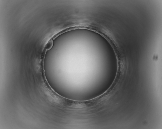 X0000111901260200907271149