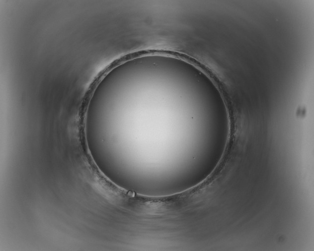 X0000111901264200907271149