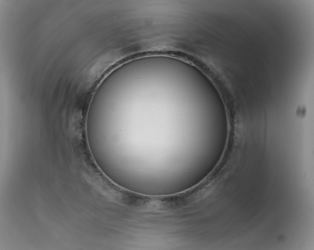 X0000111901265200907271149