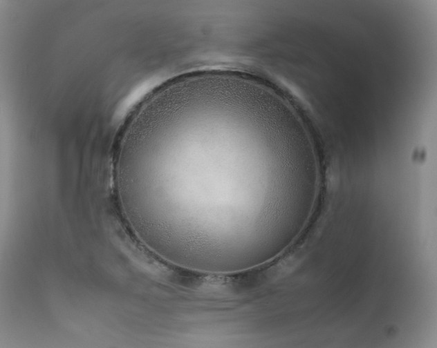 X0000111901267200907271149