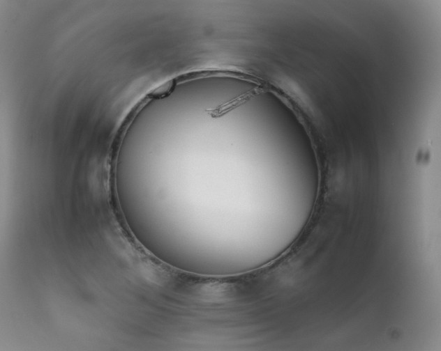 X0000111901268200907271149