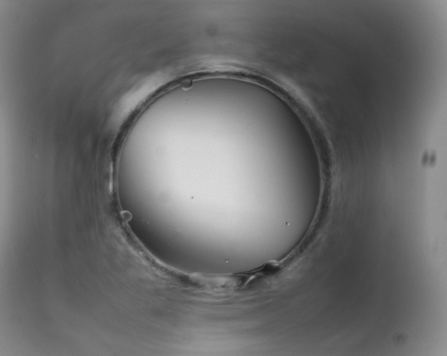 X0000111901269200907271149