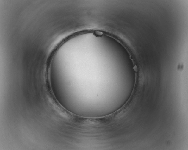 X0000111901270200907271149