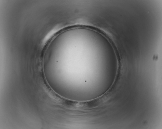 X0000111901271200907271149