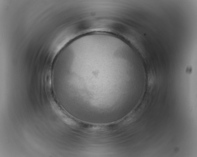 X0000111901274200907271149