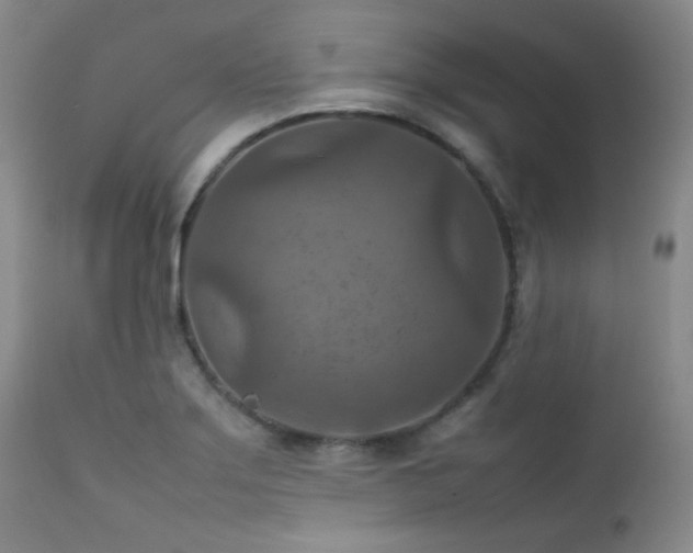 X0000111901275200907271149