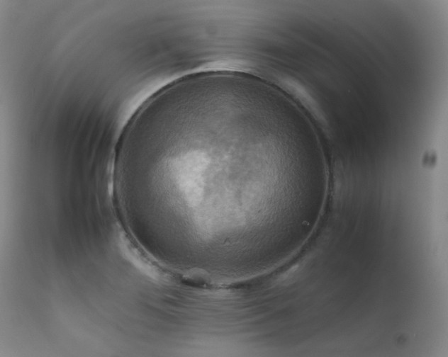 X0000111901276200907271149