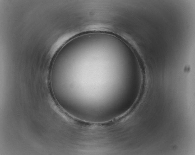 X0000111901277200907271149