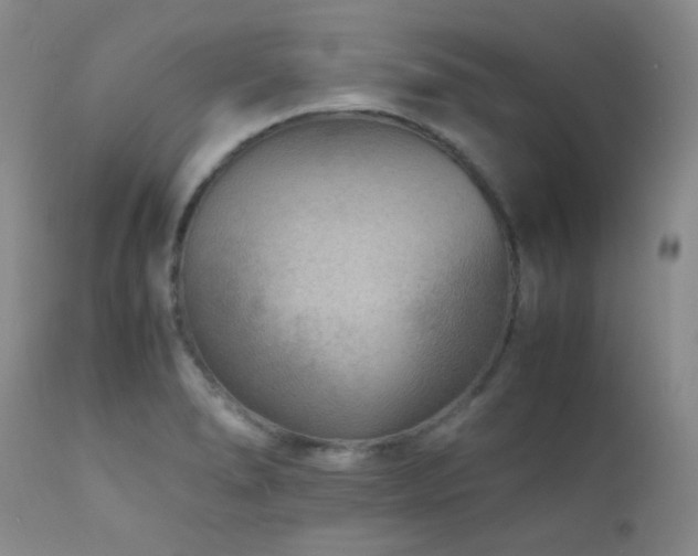 X0000111901278200907271149