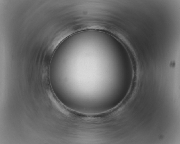 X0000111901281200907271149