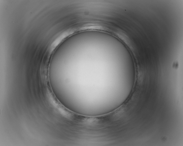 X0000111901282200907271149