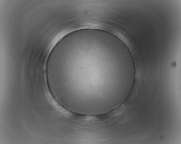 X0000111901283200907271149