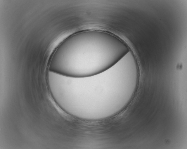 X0000111901285200907271149