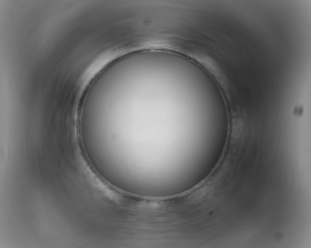 X0000111901286200907271149