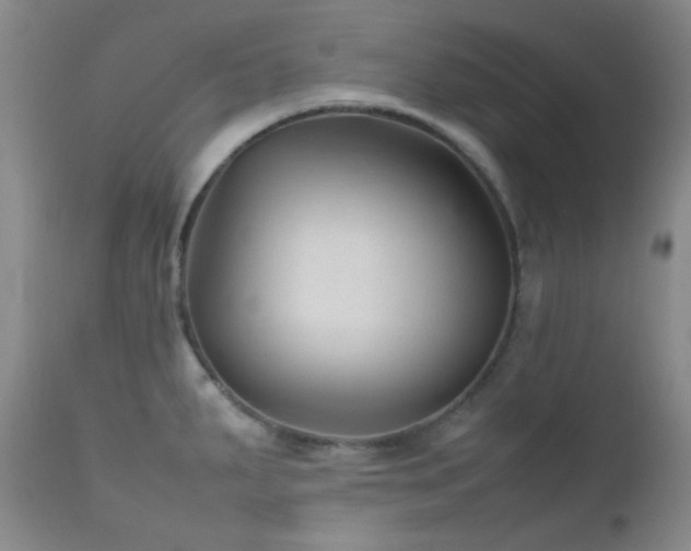 X0000111901287200907271148