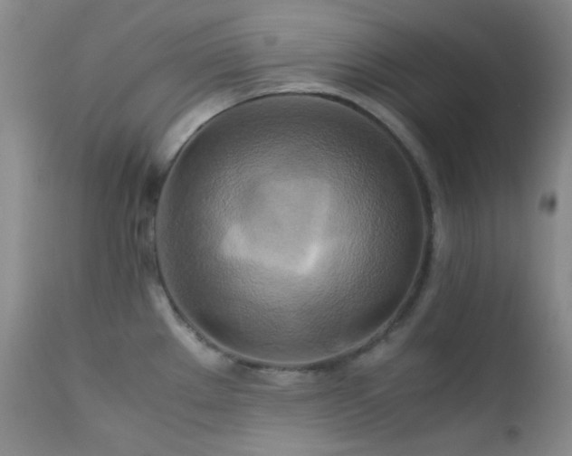 X0000111901289200907271148
