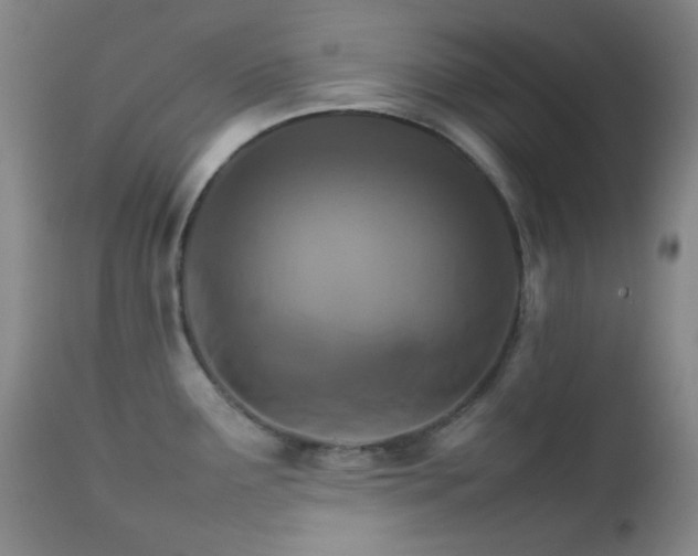 X0000111901291200907271148