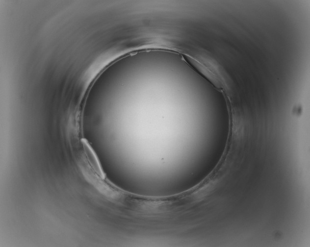 X0000111901292200907271148