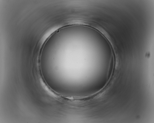 X0000111901293200907271148