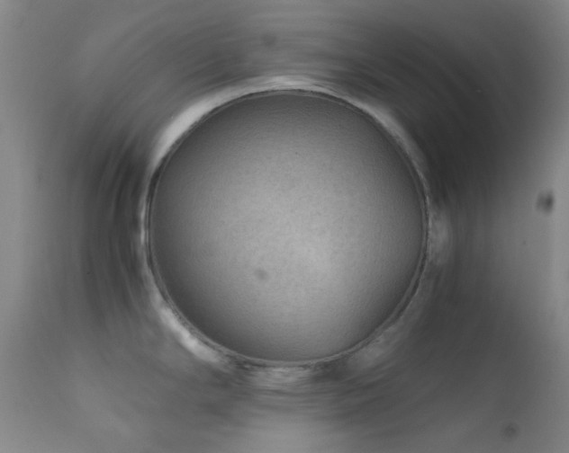 X0000111901294200907271148