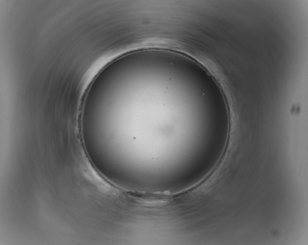 X0000111901296200907271148