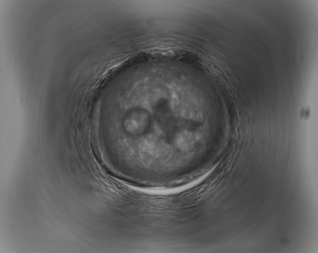 X0000111901297200907271148