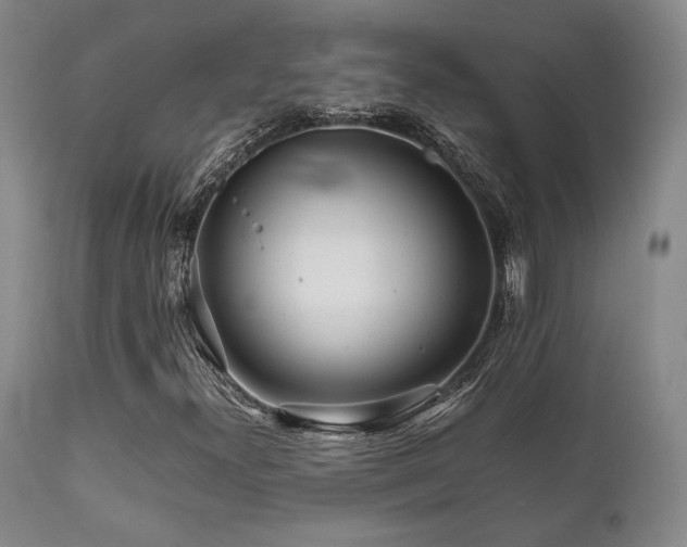 X0000111901300200907271148