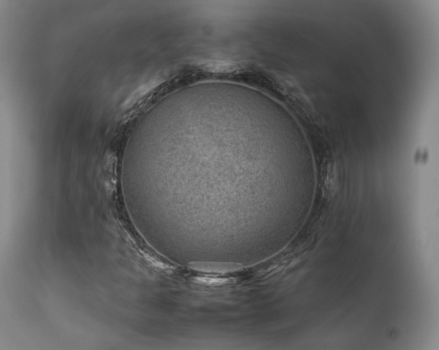 X0000111901301200907271148