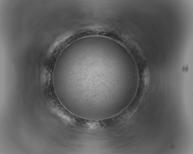 X0000111901302200907271148