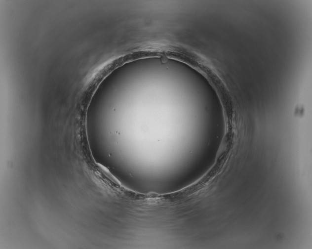 X0000111901304200907271148