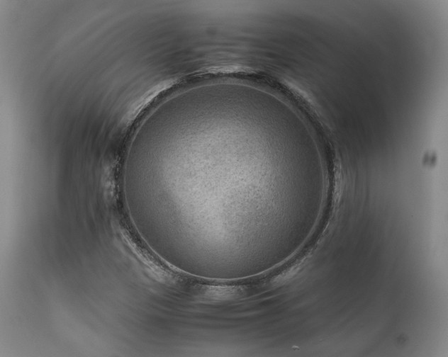 X0000111901305200907271148