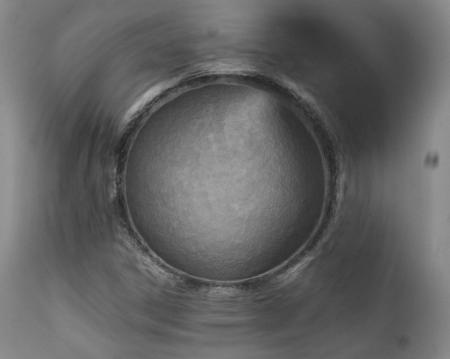 X0000111901306200907271148