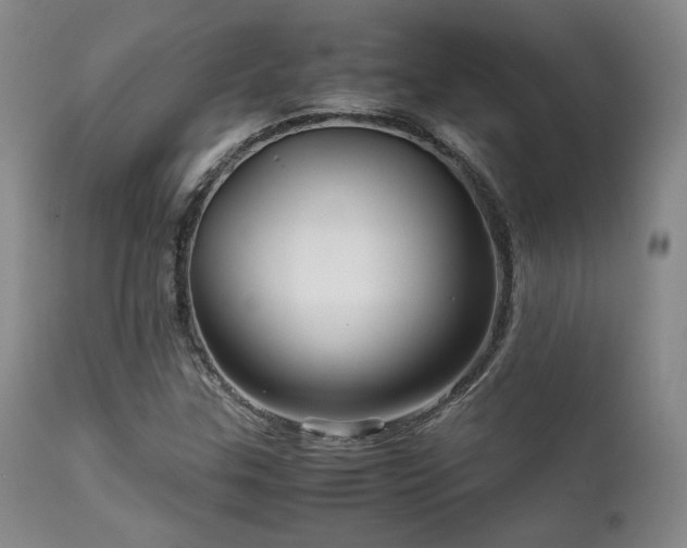 X0000111901307200907271148