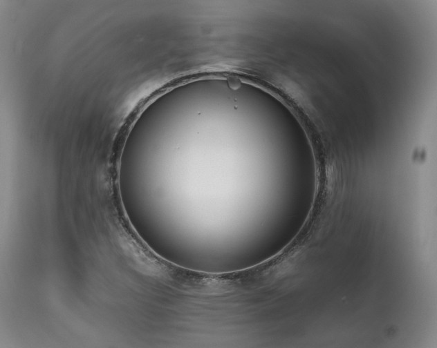 X0000111901308200907271148