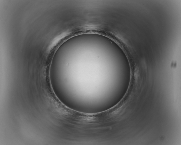 X0000111901309200907271148